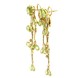 Довгі золоті сережки висячі з зеленим хризолітами та фіанітами 12033chr, Зелений